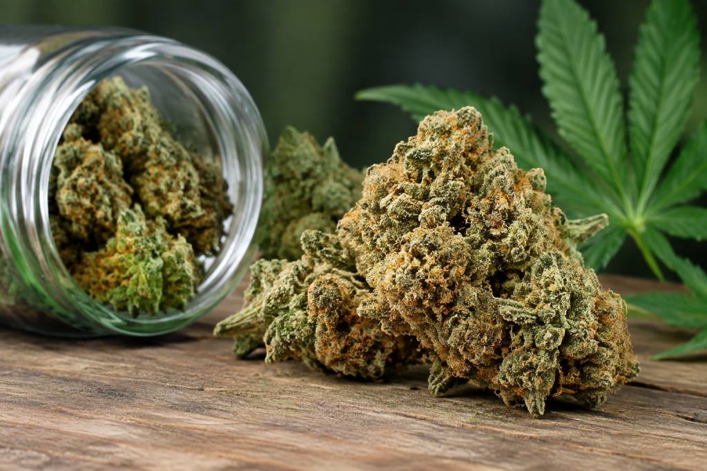 Sour diesel : origines, caractéristiques et effets de cette variété de cannabis