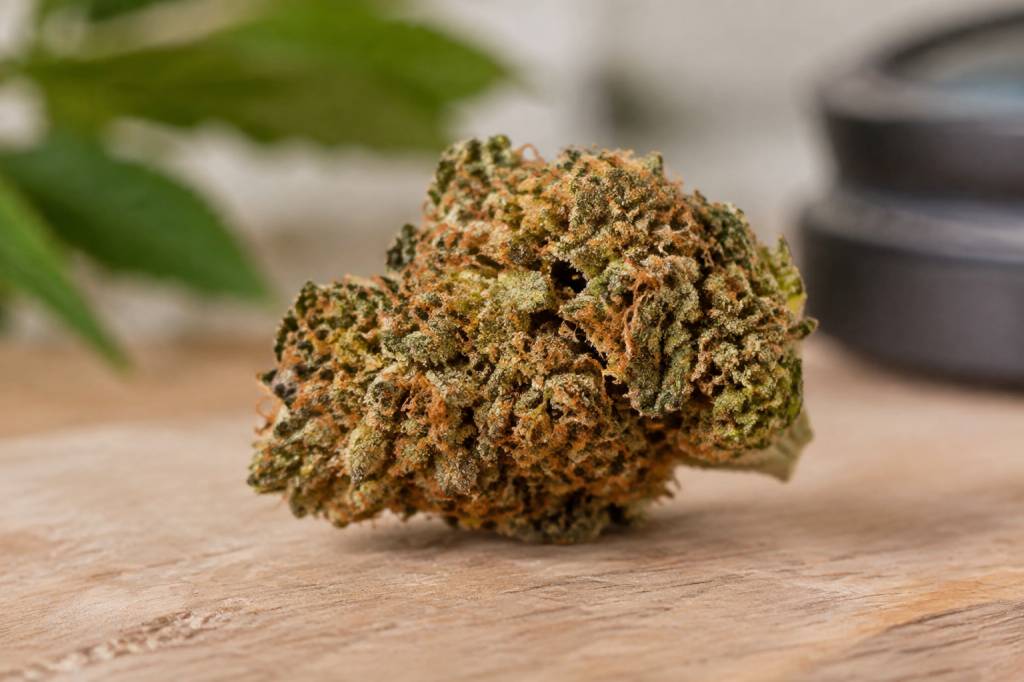Wedding cake weed : origine, effets et caractéristiques de cette variété de cannabis