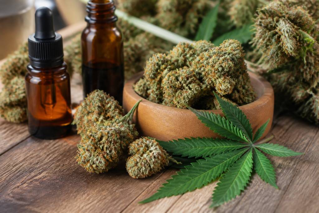 Fleur de canabise : bienfaits, usages et réglementation du cannabis en France